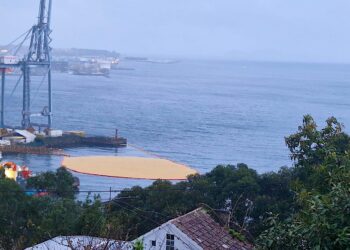 El vertido en el Puerto: unas 100 toneladas de aceite de palma que llevará días limpiar