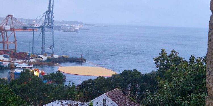 El vertido en el Puerto: unas 100 toneladas de aceite de palma que llevará días limpiar