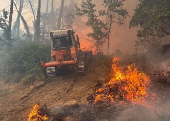 Xunta y A Cañiza cierran filas tras el incendio que arrasó 280 hectáreas