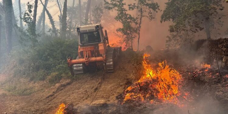 Xunta y A Cañiza cierran filas tras el incendio que arrasó 280 hectáreas