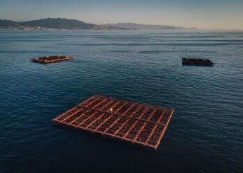 La extracción de mejillón en la ría de Vigo, paralizada por una toxina