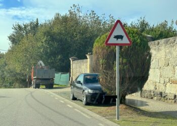 Peligro de jabalíes