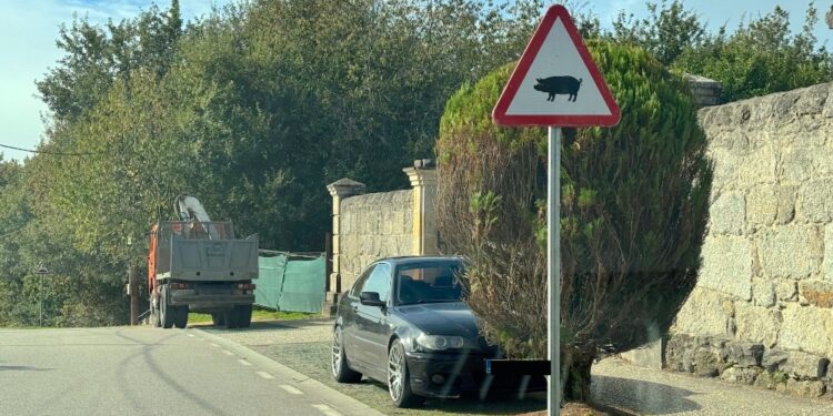 Peligro de jabalíes