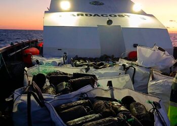 Guardadostas decomisa 720 cacharros con 117 kilos de pulpo