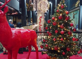 A Laxe enciende su Navidad