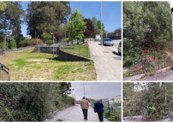 De zona de esparcimiento vecinal al lado de Castrelos, a parque «desaparecido» tras la maleza y el «abandono»