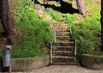 Rincones boscosos de Vigo