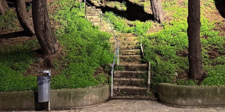 Rincones boscosos de Vigo