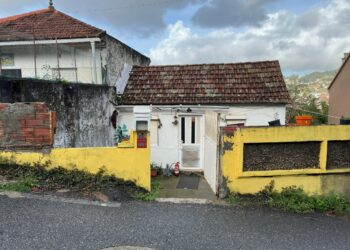 «Ratas como conejos», papel de plata y mucho miedo en Cabral por una casa okupa