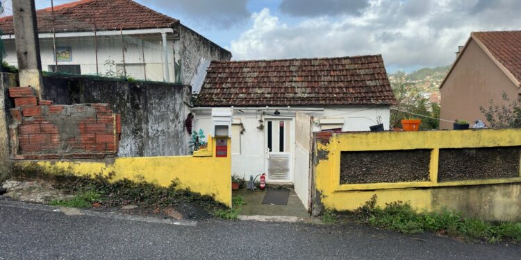 «Ratas como conejos», papel de plata y mucho miedo en Cabral por una casa okupa