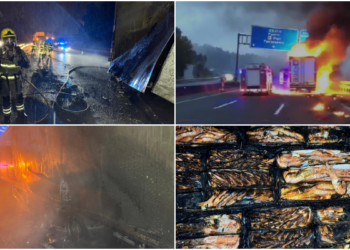 Cortada la AP9 entre Vigo y O Porriño al arder el remolque de un camión cargado con langostinos