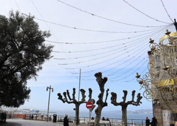 El cableado de las luces de Navidad atraviesa el olivo de Vigo