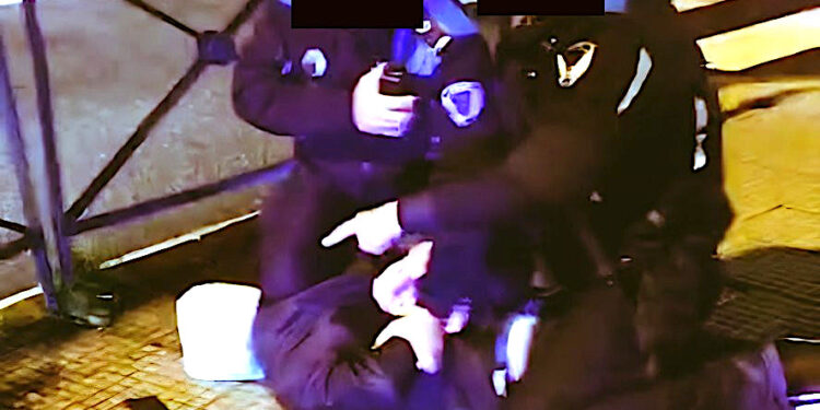 Un sindicalista y un agente heridos en una trifulca laboral en el Puerto de Vigo