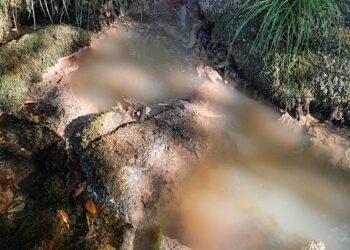 Alertan de vertidos continuados en el río Oitavén