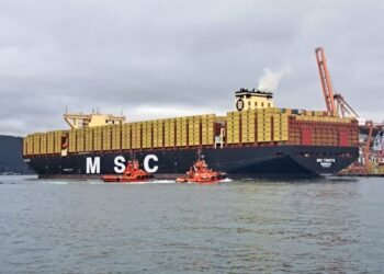 El Puerto de Vigo se convierte en puerta de exportación a Canadá de la mano de MSC