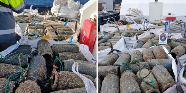 Guardacostas se incauta de casi 800 trampas ilegales para pulpo