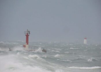 Daños en senderos y caída de árboles en las Illas Atlánticas tras el paso del temporal
