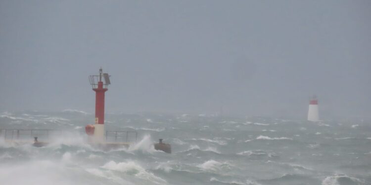 Daños en senderos y caída de árboles en las Illas Atlánticas tras el paso del temporal