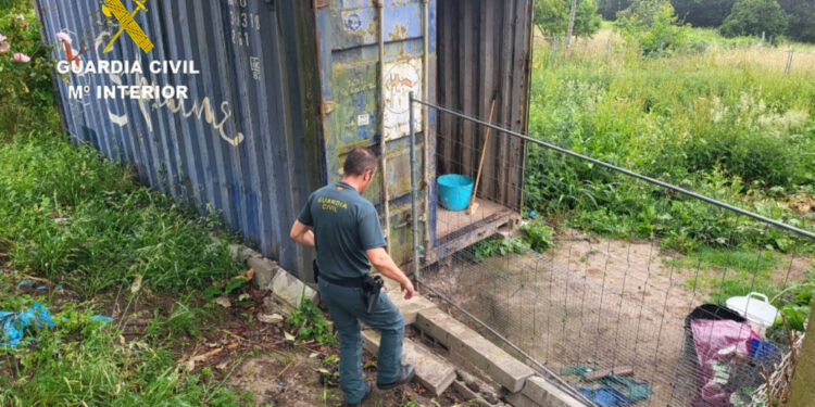 Investigadas dos personas tras encontrar un perro muerto que estuvo encerrado en un contenedor a 30 grados