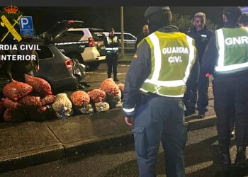 Interceptados en la frontera portuguesa 1.400 kilos de bivalvo ilegal con destino a Galicia