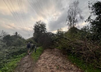 «Fochancas, árboles caídos, ramas, maleza, abandono y zonas intransitables»: así es la senda del Lagares