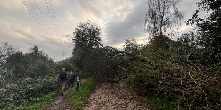 «Fochancas, árboles caídos, ramas, maleza, abandono y zonas intransitables»: así es la senda del Lagares