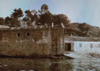 Italianos en conserva