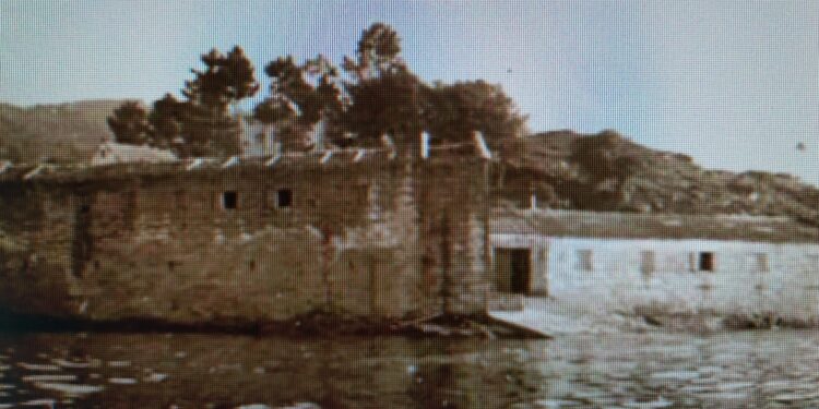 Italianos en conserva