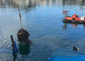 Inician los trabajos de reflote del bateeiro que se hundió el sábado en Moaña