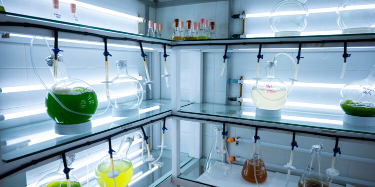 Se revoca un auto de un juzgado de Vigo para investigar la fuga de un agente cancerígeno en el IEO