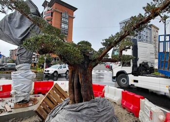 Homenaje del Concello al Celta
