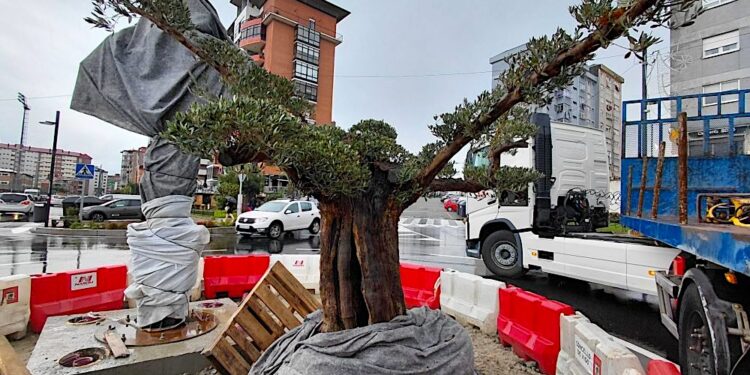 Homenaje del Concello al Celta