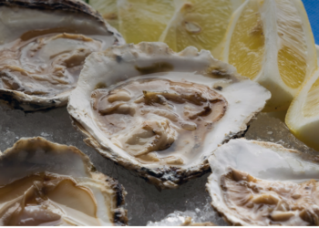 Una campaña para promocionar las fiestas gastronómicas de toda la provincia