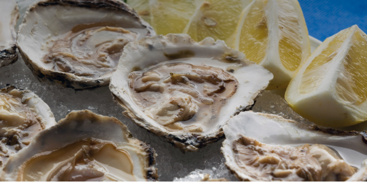 Una campaña para promocionar las fiestas gastronómicas de toda la provincia