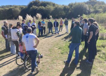 Más de 50 proyectos para elegir el «emblemático» e «innovador» parque deportivo inclusivo del área de Vigo