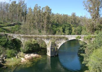 Localizado y erradicado un punto de vertido de aguas residuales al río Verdugo