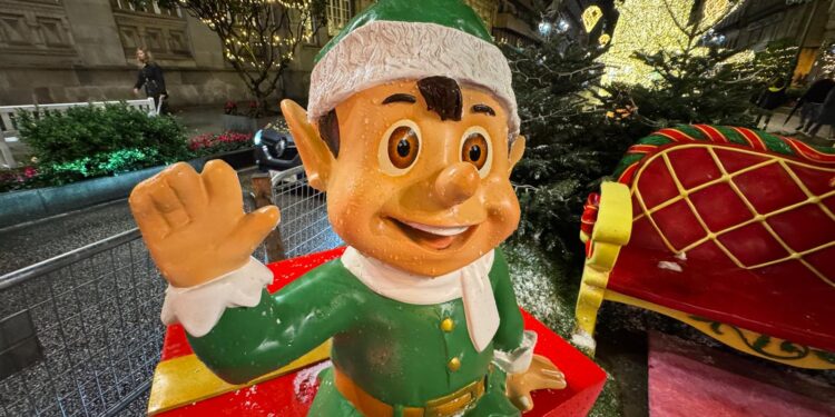 «Pequeno busca fogar», de Fátima Rodríguez, segundo premio do I Certamen de Relatos de VigoÉ