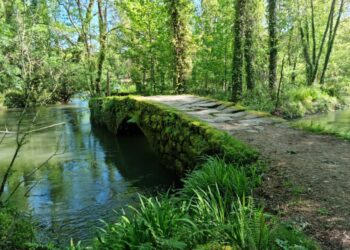 Una expedición gratuita nos invita a descubrir los secretos del invierno en O Porriño