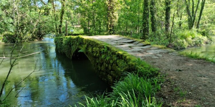 Una expedición gratuita nos invita a descubrir los secretos del invierno en O Porriño