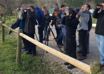 El furor por la observación de aves agota sus plazas en horas