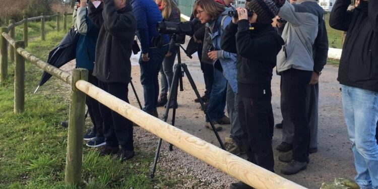 El furor por la observación de aves agota sus plazas en horas