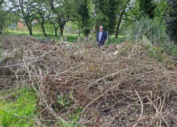 El PP de Vigo pide a Caballero que deje la confrontación y se sume al convenio para limpiar los montes