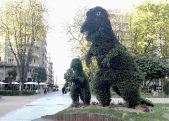 Sin noticias del Dinoseto