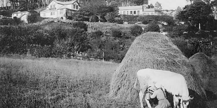 El Vigo rural que nadie recuerda