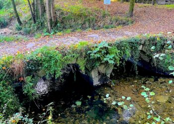 El abandono del puente medieval de Sárdoma