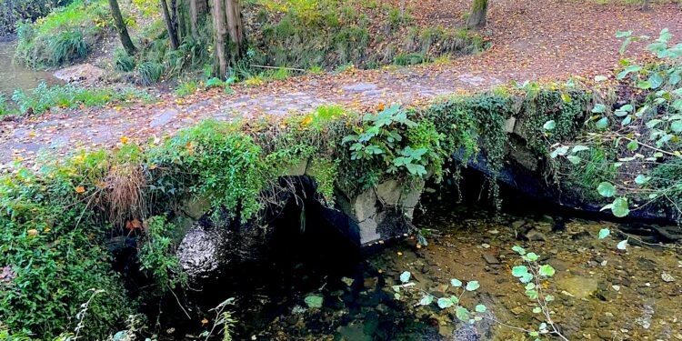 El abandono del puente medieval de Sárdoma