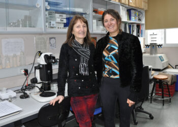 Investigadoras de la UVigo lideran un estudio sobre pesticidas publicado en la prestigiosa revista Nature