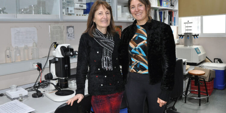 Investigadoras de la UVigo lideran un estudio sobre pesticidas publicado en la prestigiosa revista Nature