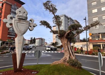 Caballero replica el Olivo centenario en Balaídos: «Se plantó cuando se fundó el Celta»