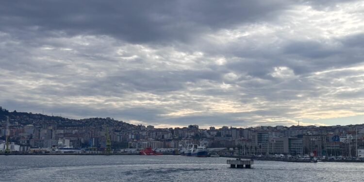 Detenidas 5 personas tras el hallazgo de 200 kilos de cocaína en un contenedor en el Puerto de Vigo